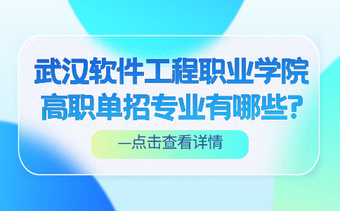 武漢軟件工程職業(yè)學(xué)院高職單招