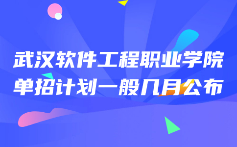 武漢軟件工程職業學院單招計劃