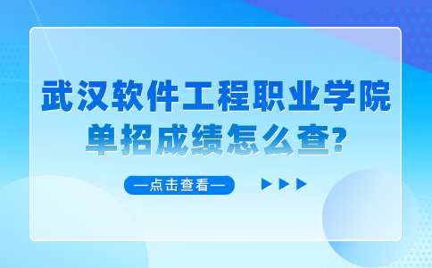 武漢軟件工程職業(yè)學(xué)院單招
