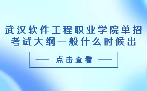 武漢軟件工程職業學院單招