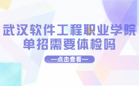 武漢軟件工程職業學院單招