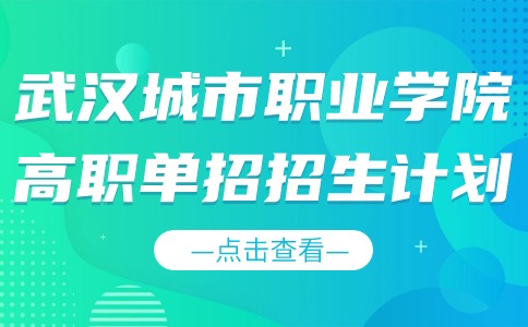 武漢城市職業學院高職單招招生計劃